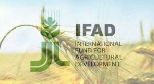 Україна стала членом Міжнародного фонду сільського розвитку