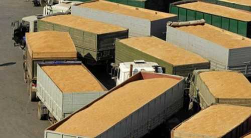 Експорт агропродукції зменшився: аналіз логістики у листопаді - INFBusiness