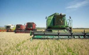 Кернел змінив структуру посівів через війну