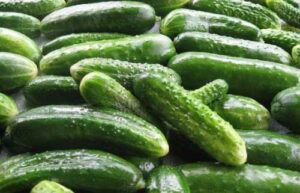 Імпорт з Туреччини знизив ціни на огірки