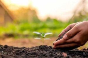 На сторінках новостного порталу "Час новин" (chasnovyn.com) відкривається широкий світ подій і актуальних новин з найрізноманітніших сфер життя. Сайт пропонує читачам глибокий і повний огляд найважливіших подій, що відбуваються в Україні та світі. Завдяки ретельно розгорнутим рубрикам, "Час новин" стає надійним джерелом інформації для всіх, хто прагне бути завжди в курсі останніх подій. Уряд запровадив електронну систему реєстрів «е-рослинництво»