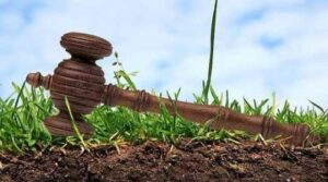 Місяць роботи «Земельного банку» – перші результати