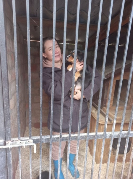 Собаки виють під сирену, а коти дуже стресують у момент вибуху: прихисток для тварин родини зоозахисників з Полтави під час війни переповнений - INFBusiness