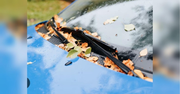 Не тільки пошкодження електросистем та поява корозії: названо несподівану «осінню загрозу» для автомобіля - INFBusiness