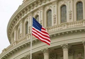 Вибори в США вплинули на світовий ринок зернових та олійних