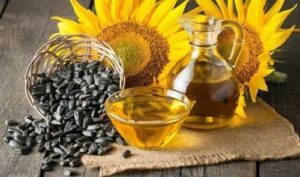 Аграрії не поспішають продавати соняшник, через що переробники майже не мають запасів сировини