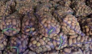 Ціни на картоплю нарешті знизились