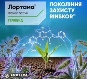 Corteva Agriscience представляє новий післясходовий гербіцид Лортама® для захисту кукурудзи
