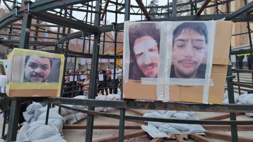 У Тбілісі новорічну ялинку на місці протестів охороняє поліція - INFBusiness