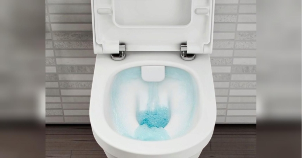 Тепер унітаз точно буде білішим за сніг: жителька Миколаєва поділилась ще одним способом очистки сантехніки - INFBusiness