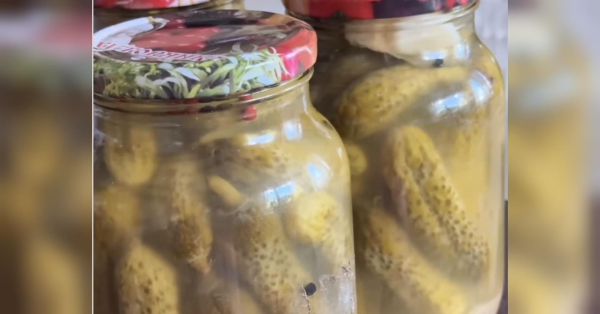 Мариновані огірки з гірчицею на зиму: «тіткин рецепт» від фудблогерки Тетяни Юшиної - INFBusiness