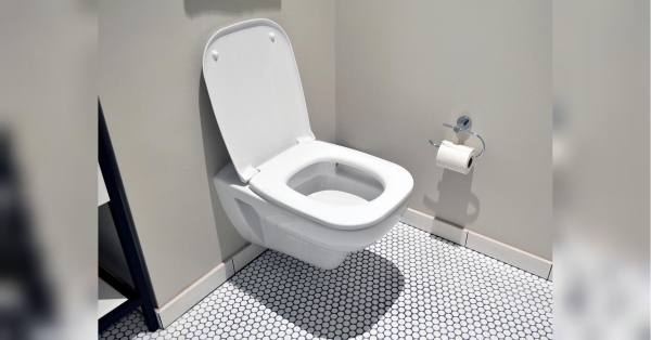 Краще імпортних освіжувачів: які дешеві засоби здатні ідеально освіжити туалет - INFBusiness