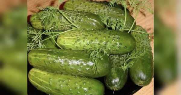 Малосольні огірки на мінералці: будуть готові на ранок наступного дня - INFBusiness