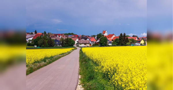 Схід України задихатиметься від 40-градусної спеки, а захід — «тремтіти від холоду»: синоптикиня здивувала прогнозом на найближчі дні - INFBusiness