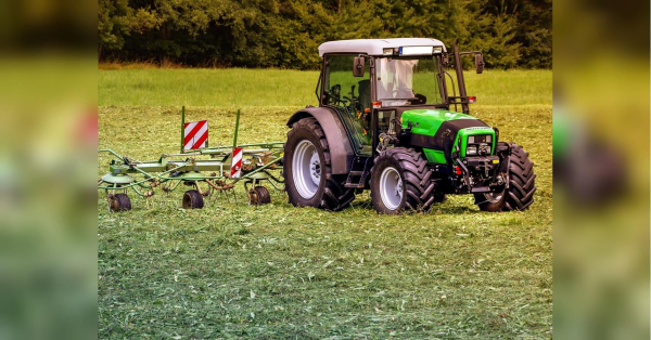 126 тисяч гривень за гектар: де знаходиться найдорожча земля в Україні - INFBusiness