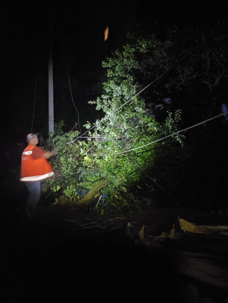 Потужний буревій обрушився на Харківщину, є постраждалі (фото, відео) - INFBusiness