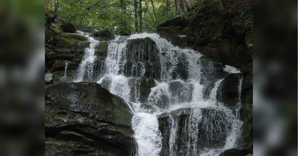 На фестивалі у Закарпатті десятки людей отруїлися водою із… знаменитого водоспаду - INFBusiness
