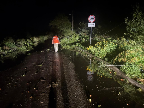 Потужний буревій обрушився на Харківщину, є постраждалі (фото, відео) - INFBusiness