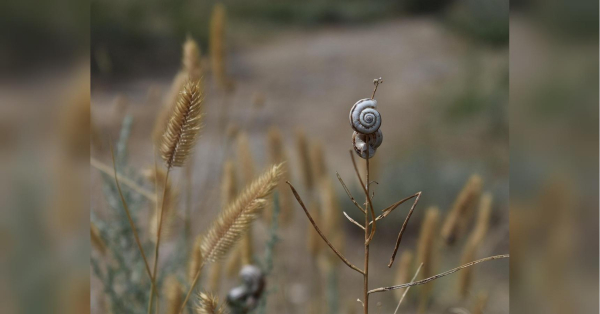 Синоптики обіцяють українцям тиждень аномальної спеки - INFBusiness