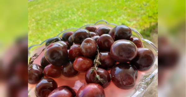 Делікатесна квашена черешня до сиру: готується так просто, що ви не повірите - INFBusiness