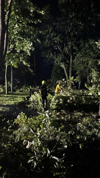 Потужний буревій обрушився на Харківщину, є постраждалі (фото, відео) - INFBusiness