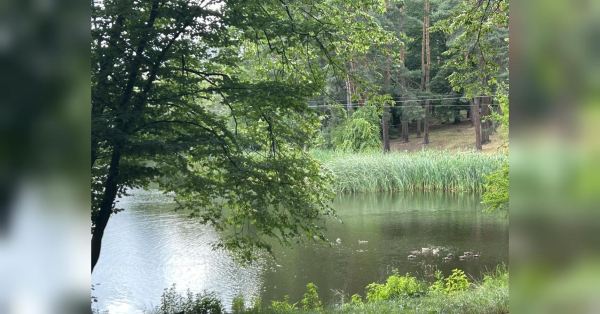 Сорокаградусна спека та зливи зі шквалами: за прогнозами синоптиків, на українців чекає контрастний тиждень - INFBusiness