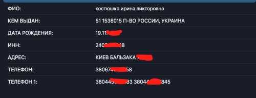Льон чи “хлопок”? Житомирську депутатку Ірину Костюшко “по-тихому” вигнали з фракції за російський паспорт - INFBusiness