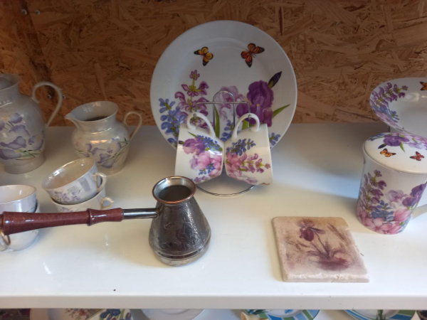 Про «карликів», ріжки з «космосу» і не тільки: найвідоміша селекціонерка ірисів Алла Черногуз про те, як створює нові сорти півників - INFBusiness