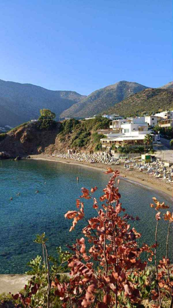 «Чимало країн мають вимогу, щоб закордонний паспорт був дійсний не менш ніж пів року до закінчення терміну», — експертка з туризму Марина Білоножко - INFBusiness