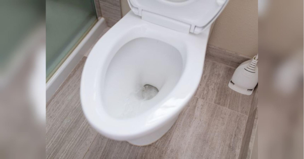 Відмиє не тільки посуд, а й брудний унітаз: унікальний засіб для очищення - INFBusiness