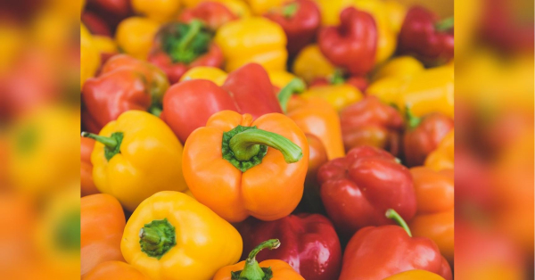 Як доглядати за перцем у спеку і чим підживлювати влітку - INFBusiness