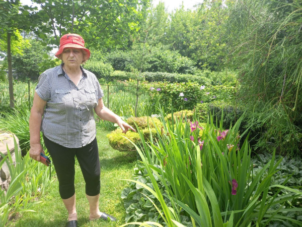 Про «карликів», ріжки з «космосу» і не тільки: найвідоміша селекціонерка ірисів Алла Черногуз про те, як створює нові сорти півників - INFBusiness