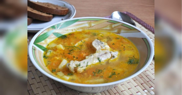 Справді допомагає при застуді: користь курячого супу науково доведена - INFBusiness