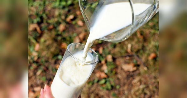 В Україні подорожчало молоко, і зростання цін продовжиться: чому в цьому «винна» Європа - INFBusiness