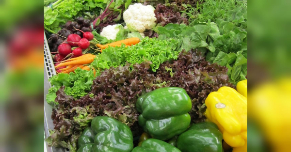 Подешевшали й будуть падати в ціні й надалі: які продукти в Україні стали доступнішими - INFBusiness