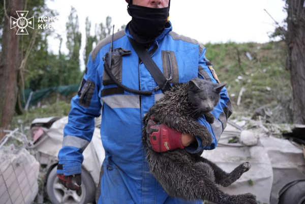 Відповідь на ультиматум Трампа: за ніч Київ двічі зазнав масованих ударів, є жертви (фото, відео) - INFBusiness