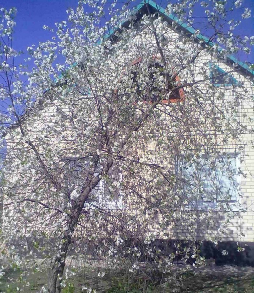 «Директорка школи промовилася знайомій, що здала окупантам всю нашу сім’ю»: дружина цивільного заручника - INFBusiness