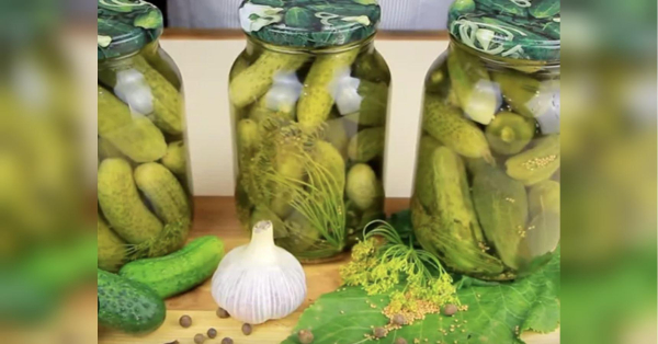 Цікавий присмак: хрусткі солоні огірки з тархуном на зиму - INFBusiness
