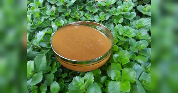 Чудова заправка для салатів: готується просто і швидко - INFBusiness