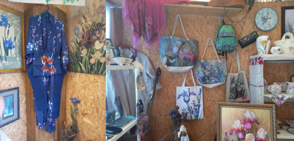 Про «карликів», ріжки з «космосу» і не тільки: найвідоміша селекціонерка ірисів Алла Черногуз про те, як створює нові сорти півників - INFBusiness