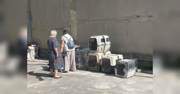 На Вінниччині своя реальність: переселенок з-під Покровська з тваринами виганяють із села - INFBusiness