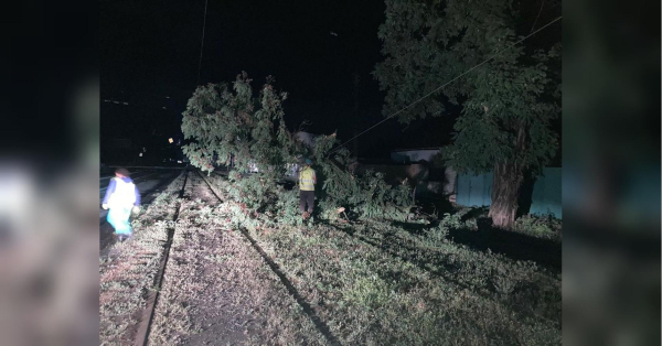 Потужний буревій обрушився на Харківщину, є постраждалі (фото, відео) - INFBusiness