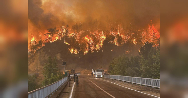 Анталія у вогні: Туреччину, яка страждає від 50-градусної спеки, охопили нові лісові пожежі (фото, відео) - INFBusiness