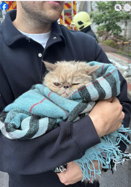 Квартира родини нардепа від «Слуги народу» згоріла внаслідок нічного удару по Києву (фото) - INFBusiness