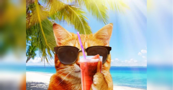 Синоптики обіцяють українцям гарячі вихідні та прогнозують посилення спеки - INFBusiness