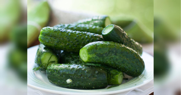 Малосольні огірки за три години: смачний секрет Пави - INFBusiness
