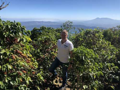 Фото: pexels.com Кавова криза-2025: зерно здорожчає до 40% - як зекономити - INFBusiness