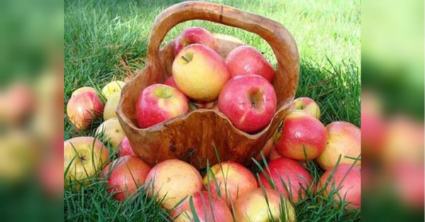 Кому догодити на Великий Спас, той допоможе і тобі: про свято Преображення Господнього, коли навіть яблуко стає молитвою - INFBusiness