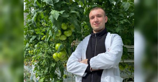 На стінах досі залишилися сліди — міна влучила в теплицю й зруйнувала її: як 19-річний студент створив «томатний рай» на Чернігівщині - INFBusiness