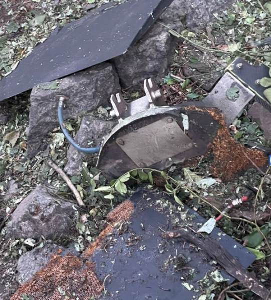Будинок Маргарити Січкар зруйнований внаслідок удару дронів по Київщині: рестораторка показала фото наслідків нальоту - INFBusiness